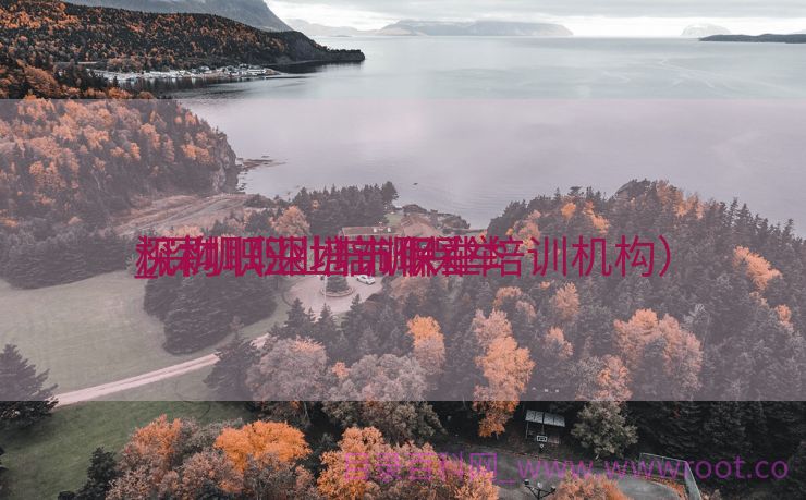 深圳职业培训保举
_深圳职业培训保举
机构（深圳市职业培训机构）