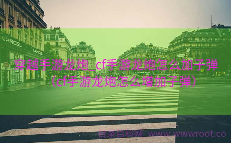 穿越手游龙炮_cf手游龙炮怎么加子弹（cf手游龙炮怎么增加子弹）