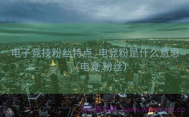 电子竞技粉丝特点_电竞粉是什么意思（电竞 粉丝）