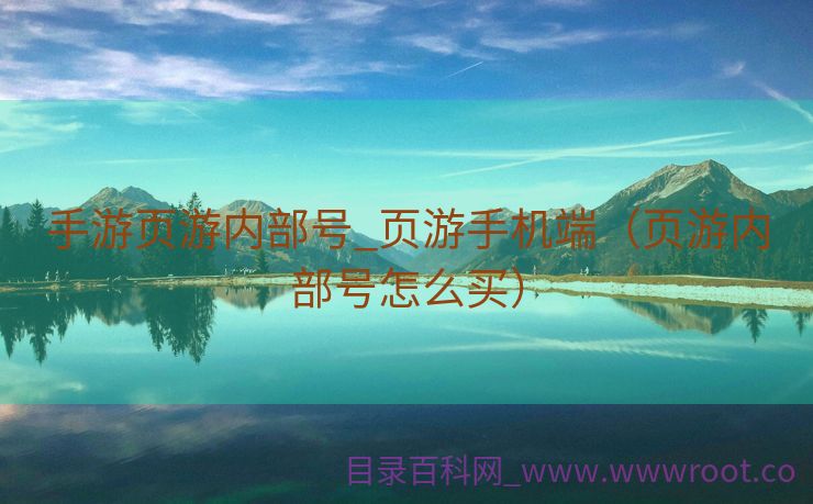 手游页游内部号_页游手机端（页游内部号怎么买）
