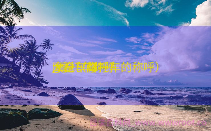 摩托车称呼

_摩托车称呼

大全（摩托车的称呼）