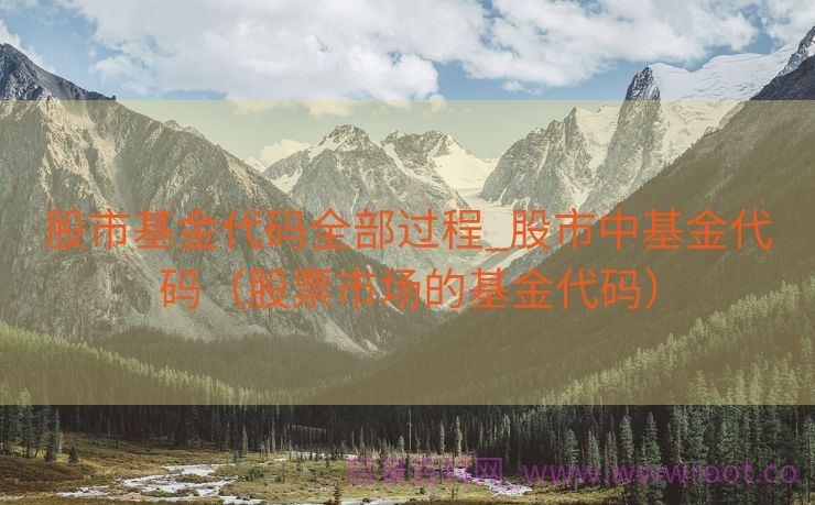 股市基金代码全部过程_股市中基金代码（股票市场的基金代码）