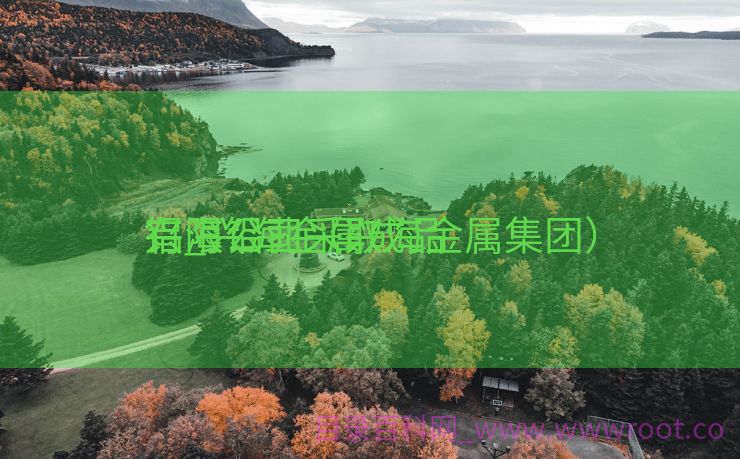 兴海铝业采取

铝_兴海金属成品
有限公司（兴海金属集团）