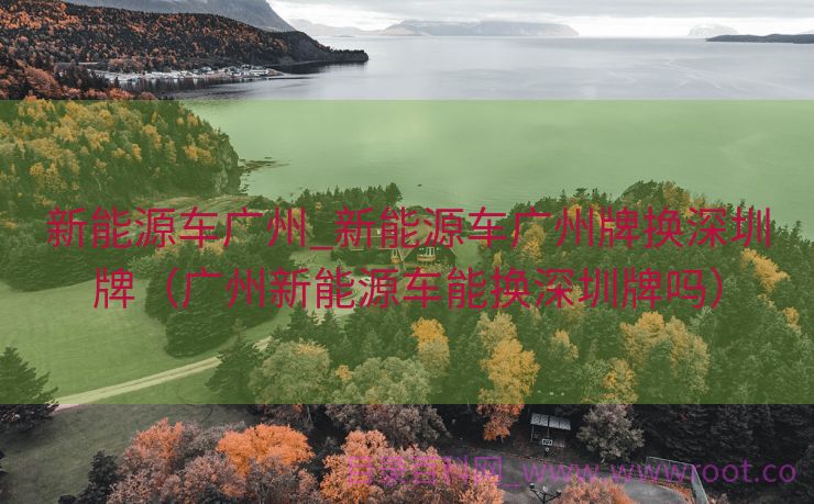 新能源车广州_新能源车广州牌换深圳牌（广州新能源车能换深圳牌吗）