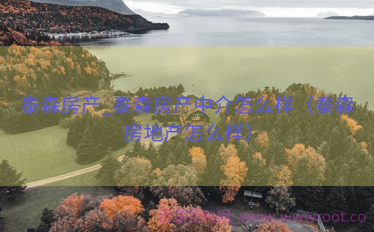 泰森房产_泰森房产中介怎么样（泰森房地产怎么样）