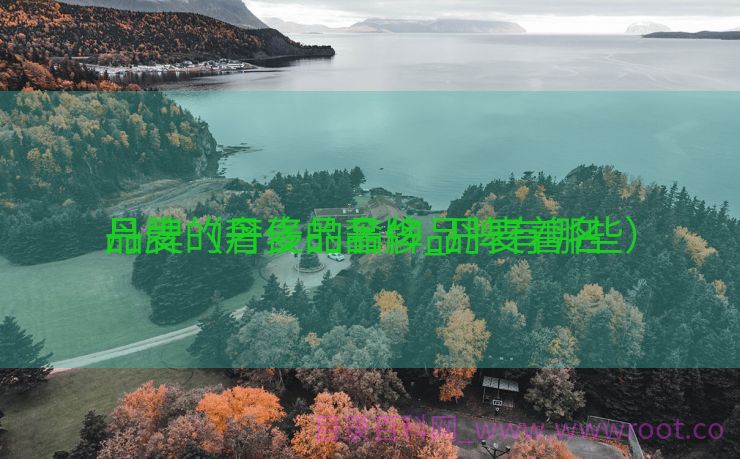 丹麦的奢侈品品牌_丹麦着名
品牌（丹麦的奢侈品牌有哪些）