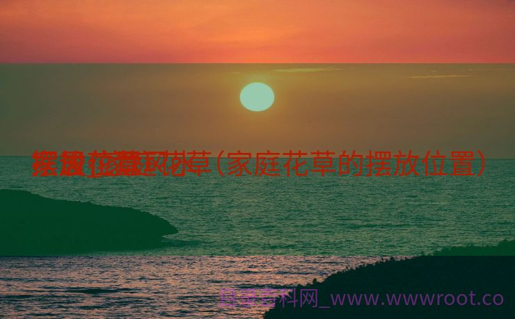家居花草
摆设_家庭花草
摆放位置风水（家庭花草的摆放位置）