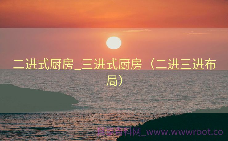 二进式厨房_三进式厨房（二进三进布局）