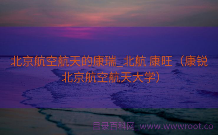 北京航空航天的康瑞_北航 康旺（康锐 北京航空航天大学）