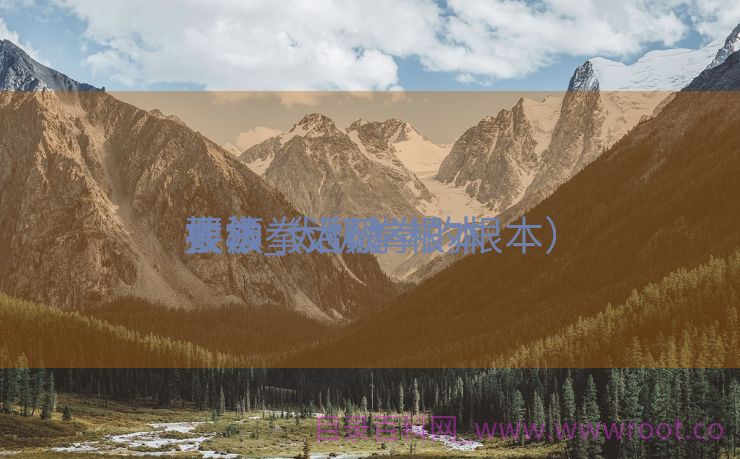 太极拳活动
根本
技法_太极拳根本
要领（太极拳的根本）