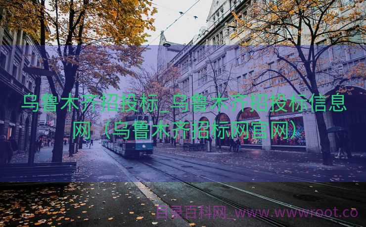 乌鲁木齐招投标_乌鲁木齐招投标信息网（乌鲁木齐招标网官网）