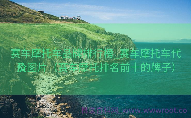 赛车摩托车品牌排行榜_赛车摩托车代价
及图片（赛车摩托排名前十的牌子）