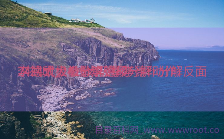 24式太极拳分解讲授
李德印_24式太极拳李德印分解反面
（24式太极拳李德印分解动作）