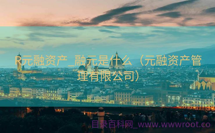 R元融资产_融元是什么（元融资产管理有限公司）