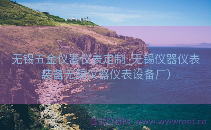 无锡五金仪器仪表定制_无锡仪器仪表装备
厂（无锡仪器仪表设备厂）