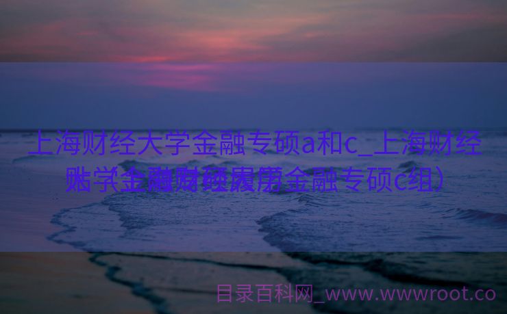 上海财经大学金融专硕a和c_上海财经大学金融专硕履历
贴（上海财经大学金融专硕c组）