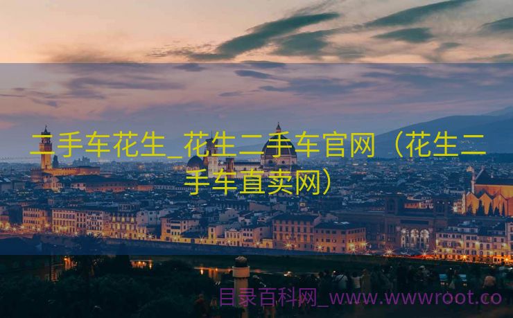 二手车花生_花生二手车官网（花生二手车直卖网）