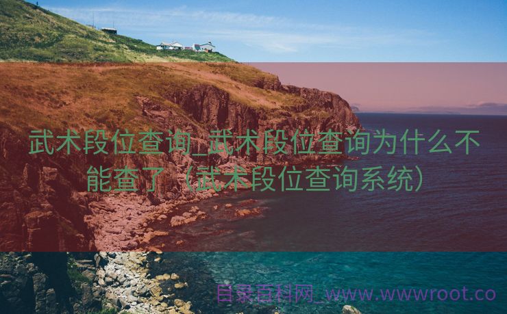 武术段位查询_武术段位查询为什么不能查了（武术段位查询系统）
