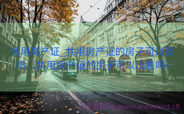 共用房产证_共用房产证的房子可以买吗（共用房产证的房子可以出售吗）