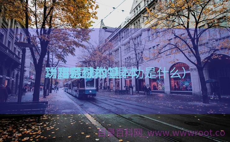 踢足球根本
功_踢足球的根本
功和各种本领
（踢足球的基本功是什么）