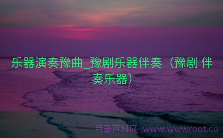 乐器演奏豫曲_豫剧乐器伴奏（豫剧 伴奏乐器）