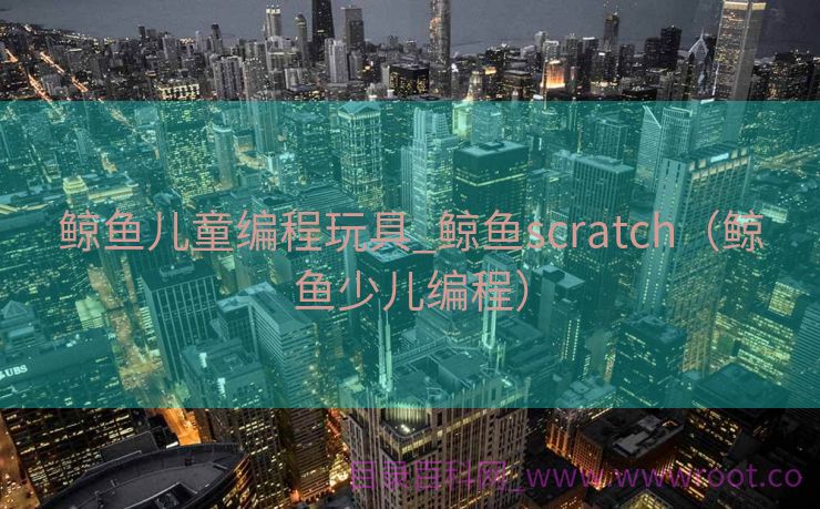 鲸鱼儿童编程玩具_鲸鱼scratch（鲸鱼少儿编程）
