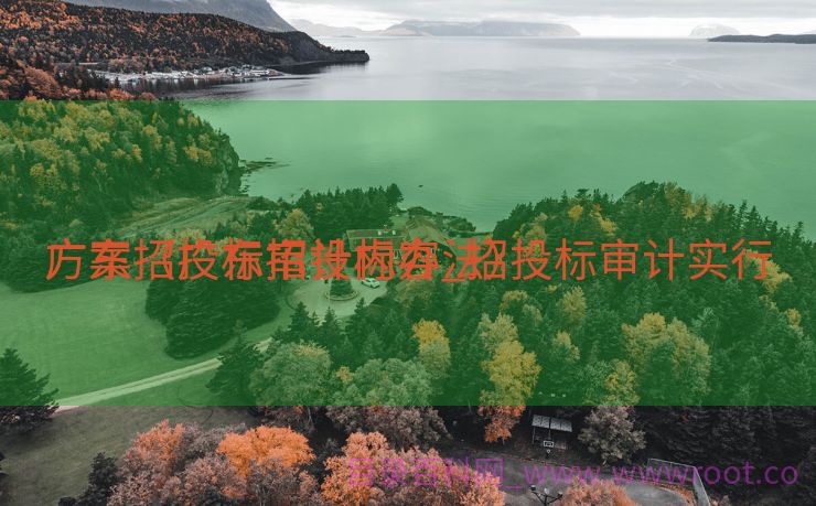 广东招投标审计内容_招投标审计实行


方案（广东招投标办法）