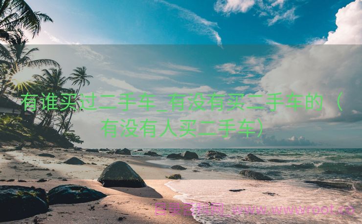 有谁买过二手车_有没有买二手车的（有没有人买二手车）