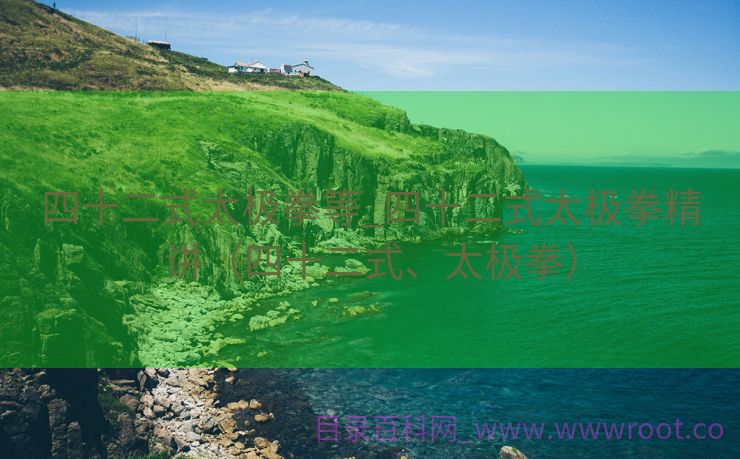 四十二式太极拳等_四十二式太极拳精讲（四十二式、太极拳）