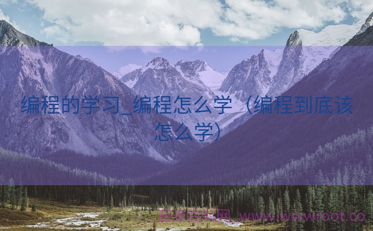 编程的学习_编程怎么学（编程到底该怎么学）