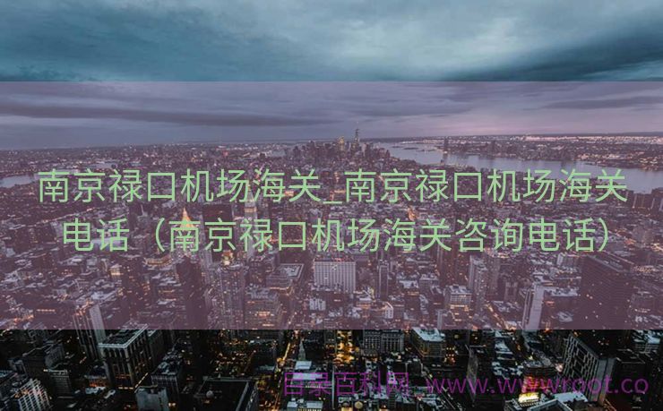南京禄口机场海关_南京禄口机场海关电话（南京禄口机场海关咨询电话）