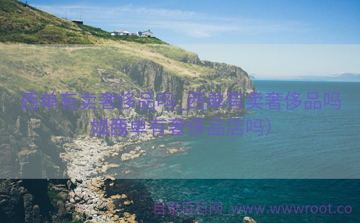西单有卖奢侈品吗_西单有卖奢侈品吗如今
（西单有奢侈品店吗）