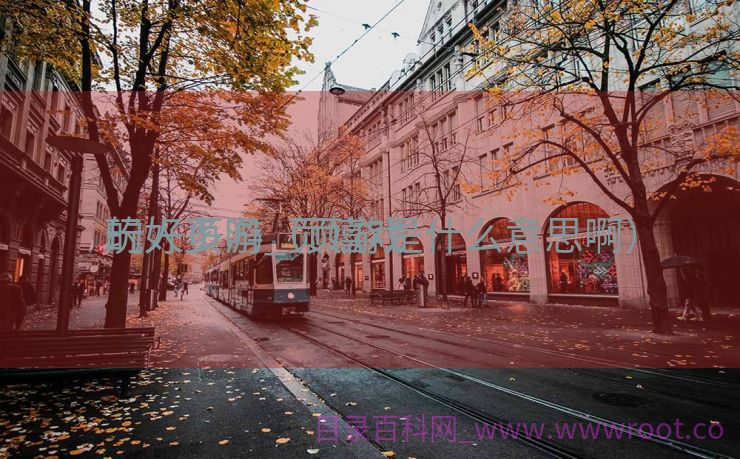 玩好页游_页嬉戏
的人多吗（页游是什么意思啊）
