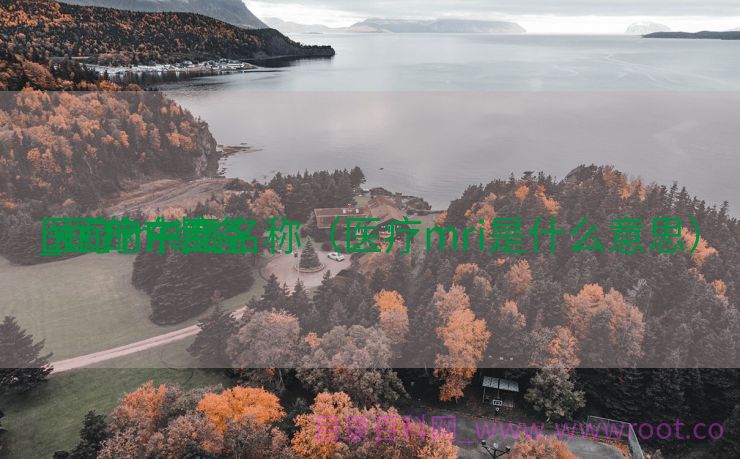 医疗mr装备
_医疗东西
mri的中文名称（医疗mri是什么意思）