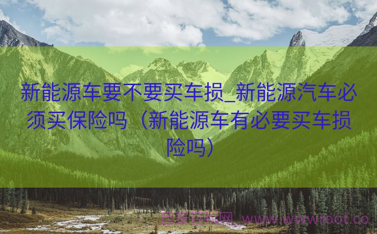 新能源车要不要买车损_新能源汽车必须买保险吗（新能源车有必要买车损险吗）