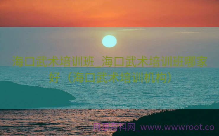 海口武术培训班_海口武术培训班哪家好（海口武术培训机构）