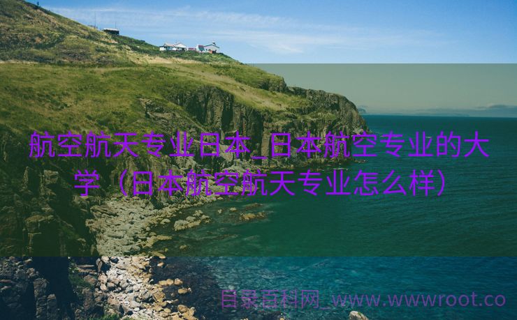 航空航天专业日本_日本航空专业的大学（日本航空航天专业怎么样）