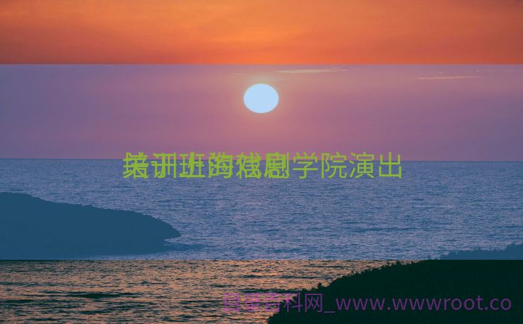 关于上海戏剧学院演出
培训班的信息