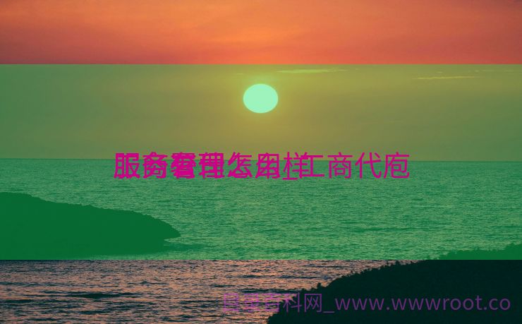 工商署理
服务有什么用_工商代庖
服务公司怎么样
