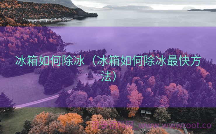 冰箱如何除冰（冰箱如何除冰最快方法）