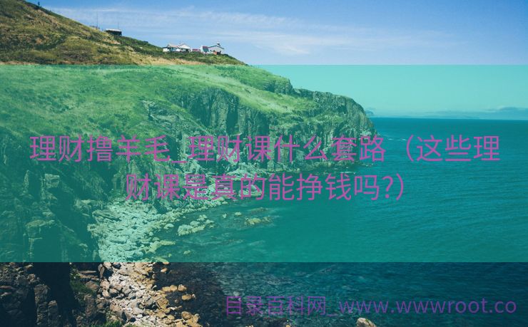 理财撸羊毛_理财课什么套路（这些理财课是真的能挣钱吗?）