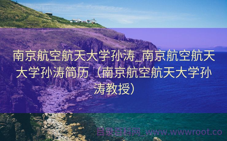 南京航空航天大学孙涛_南京航空航天大学孙涛简历（南京航空航天大学孙涛教授）