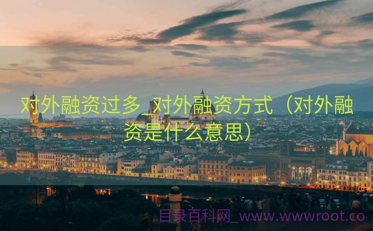 对外融资过多_对外融资方式（对外融资是什么意思）