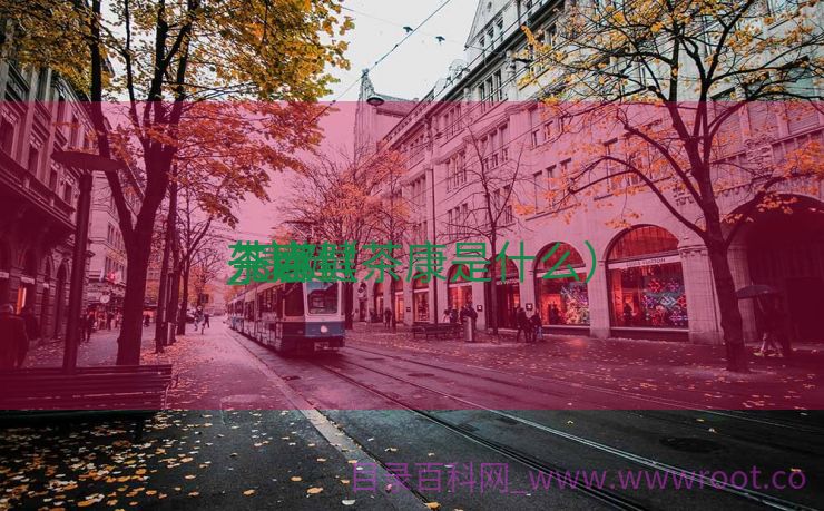 茶康健
先容
_康健
茶点（茶康是什么）