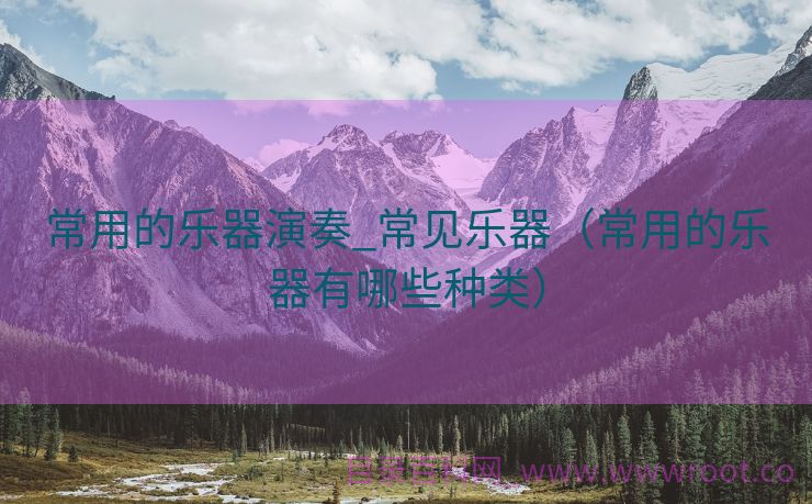 常用的乐器演奏_常见乐器（常用的乐器有哪些种类）