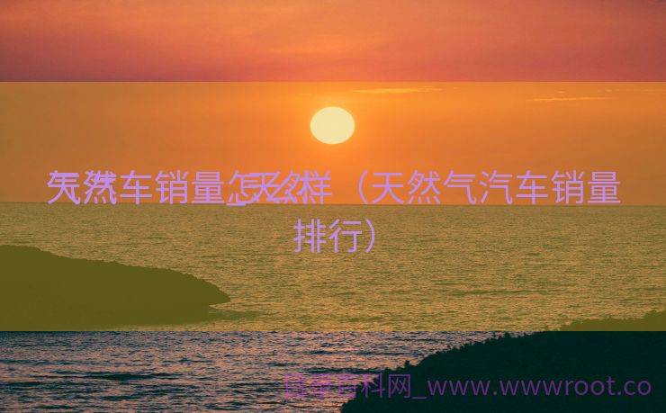 天然

气汽车销量_天然

气汽车销量怎么样（天然气汽车销量排行）