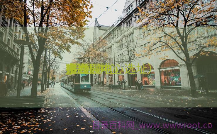 会展园地
中心

建立
_会展中心

布局

（会展中心选址）