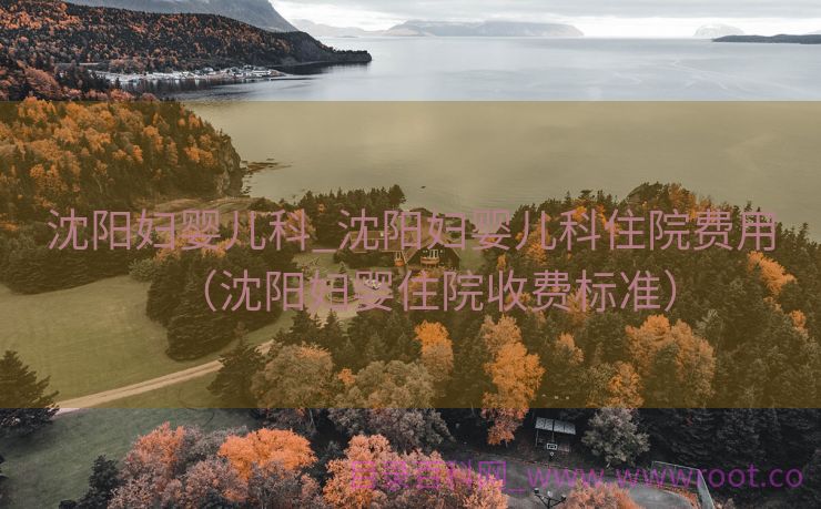 沈阳妇婴儿科_沈阳妇婴儿科住院费用（沈阳妇婴住院收费标准）