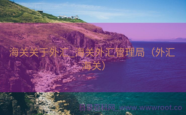 海关关于外汇_海关外汇管理局（外汇 海关）