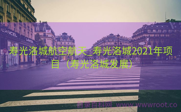 寿光洛城航空航天_寿光洛城2021年项目（寿光洛城发展）
